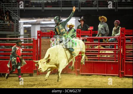 Philadelphia, Pennsylvania, USA. Oktober 2025. Bullenreiter in Aktion während des 8-Sekunden-Rodeo-Philadelphia, das im Liacouras Center der Temple University in Philadelphia PA stattfand (Credit Image: © Ricky Fitchett/ZUMA Press Wire) NUR REDAKTIONELLE VERWENDUNG! Nicht für kommerzielle ZWECKE! Stockfoto