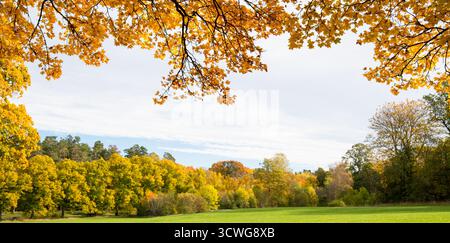Panorama einer herbstlichen Landschaft, eingerahmt von Ästen mit orangefarbenem und gelbem Laub, mit bunten Bäumen in der Ferne Stockfoto