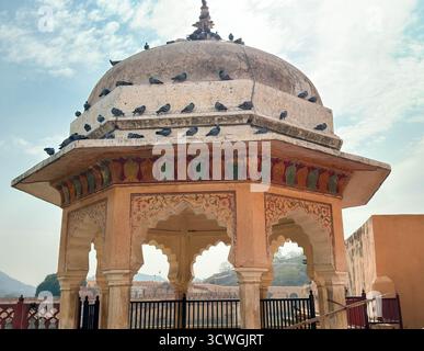 Tauben entspannen sich in den fesselnden Gebäuden des Amber Palace. Lage - Jaipur, Rajasthan, Indien Stockfoto