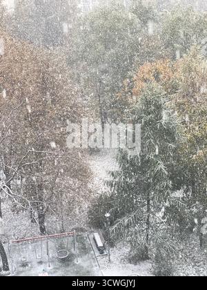 Verschneite Bäume in einem Park im Winter mit Schneeflocken, die eine ruhige Naturlandschaft schaffen. Mobiles Foto Stockfoto