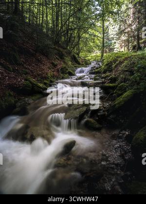 Ein sanfter Gebirgsbach stürzt über moosbedeckte Felsen in einem üppigen Wald. Die lange Belichtung erfasst die gleichmäßige Bewegung von Wasser umgeben von Vibran Stockfoto