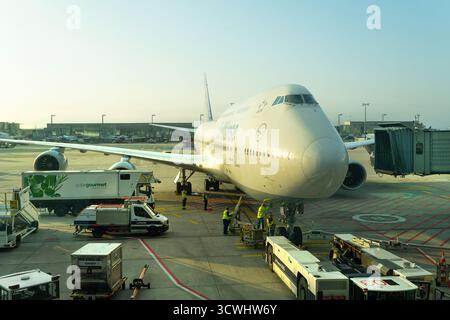 Frankfurt am Main, Deutschland. Oktober 2025. Flugvorbereitungsarbeiten für den Flug am Flughafen im Morgenlicht Stockfoto