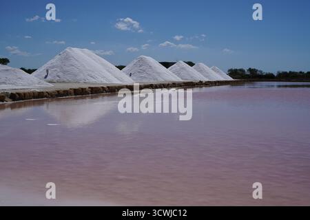 Salinen von Trapani in Sizilien, Italien, mit weißen Salzhaufen mit rosa Wasser. Traditionelle Salzernte in der Nähe der Küste. Stockfoto