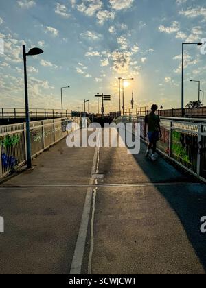 Ein Fußgängerweg über die Donau in Wien Stockfoto