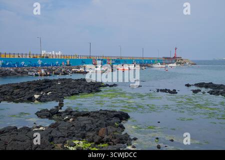 Eine lange Ufermauer mit einem Wandgemälde „Welcome to Hwabuk-dong“ grenzt an den Hafen, während kleine Boote und Basaltriffe in flachem Wasser sitzen, das mit Seehaut bedeckt ist Stockfoto