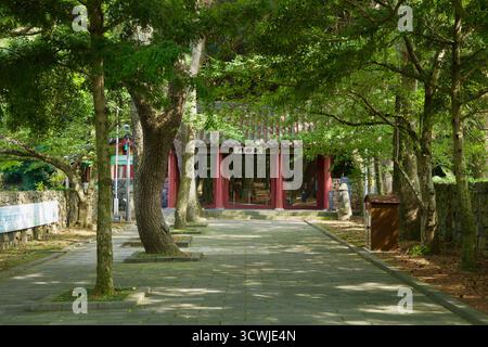 Das rot säulenförmige Hongmun-Tor steht am Eingang zu Samseonghyeol, eingerahmt von Steinmauern und schattigen Bäumen innerhalb des historischen Schreckengeländes. Stockfoto