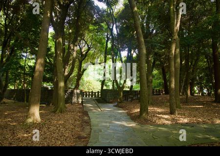 Gepflasterte Wege schlängeln sich durch die dichten Bäume bei Samseonghyeol, die in Richtung des inneren Gehäuses und des Rasenplatzes hinter einem niedrigen Basaltzaun führen. Stockfoto