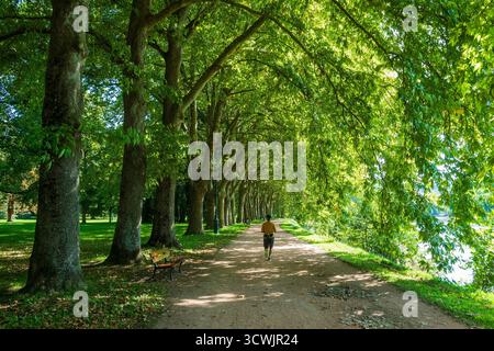 Vichy. Spaziergang durch einen von Bäumen gesäumten Pfad in einem sonnigen Park am Fluss Allier an einem klaren Tag. Allier. Auvergne Rhone Alpes. Frankreich Stockfoto