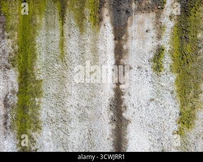 Betonwandstruktur mit moosigen Streifen, feuchte Oberfläche, grüne Algen Stockfoto