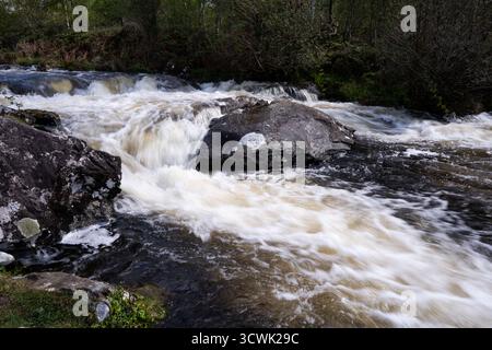 Rauschende Flussgewässer kaskadieren über felsige Ausläufer im Lake District-Wald Stockfoto