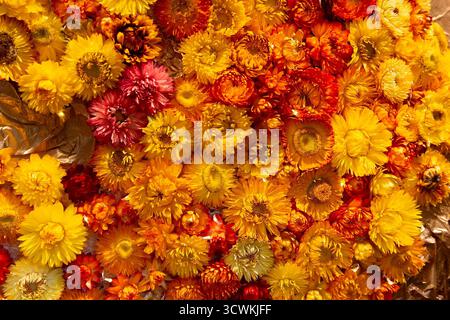 Ein atemberaubendes Arrangement von Blumen in leuchtenden Farben. Blumenstrauß Stockfoto