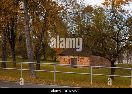 Lebhafte Herbstlandschaft an einem sonnigen Tag. Farbenfrohe Herbstbäume mit lebhaften gelben Orangenbäumen im Stadtpark Stockfoto