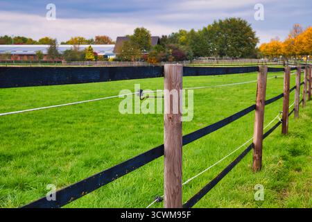 Ruhiger Herbstzaun auf grünem Feld mit Holzpfosten und elektrischen Drähten mit Blick auf entfernte Bauernhäuser und bunte Herbstbäume Stockfoto
