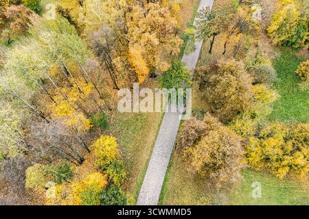Wanderweg im Herbstpark, umgeben von Bäumen mit bunten gelben Blättern. Luftdrohnenfoto. Stockfoto