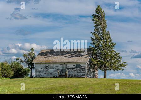 Ein altes, verlassenes Haus neben einem großen Baum in der Prärie von Saskatchewan Stockfoto