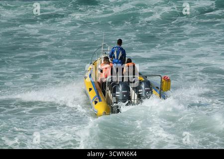 Menschen im Urlaub, die eine Bootstour Unternehmen, um die Meereslebewesen auf dem Meer zu sehen, Ozeansafari, Ökotour Ballito, KwaZulu-Natal, Südafrika, Abenteuerreisen Stockfoto