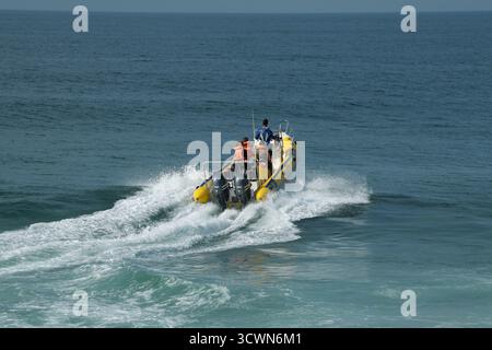 Menschen im Urlaub, die eine Bootstour Unternehmen, um die Meereslebewesen auf dem Meer zu sehen, Ozeansafari, Ökotour Ballito, KwaZulu-Natal, Südafrika, Abenteuerreisen Stockfoto