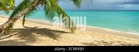 Kokospalme am tropischen, perfekten Sandstrand von Beau Vallon auf der Insel Mahé, Panoramablick auf die Seychellen Stockfoto