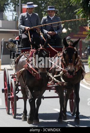 Sevilla, Spanien - 23. April: Zwei Männer in traditioneller Kleidung fahren an einem sonnigen Tag mit einer Pferdekutsche Stockfoto