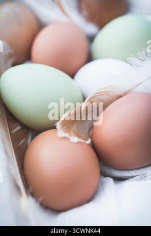 Verschiedene Bio-Eier in Naturtönen, mit weichen Federn. Rustikales und sanftes Stillleben, das natürliche Essen, das Landleben und homem symbolisiert Stockfoto