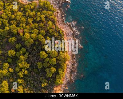 Von oben nach unten durch dichten Küstenwald trifft türkisfarbene Küste Stockfoto