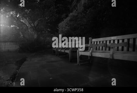 Leere Holzbänke in einem ruhigen Park in der Abenddämmerung mit sanftem Sonnenlicht, das durch die Bäume strömt, schaffen eine stimmungsvolle und stimmungsvolle Schwarz-weiß-Szene. Stockfoto