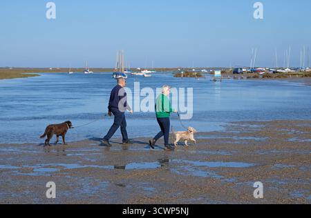Senior Hundeschlittenführer im blakeney Harbour, Nord-norfolk, england Stockfoto