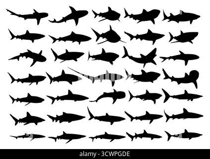 Die großen Silhouetten der großen Seehaie. Stock Vektor