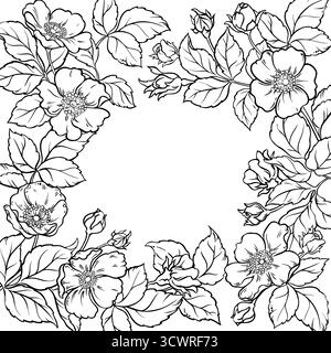 Wilde Rosenzweig mit Blumenkontur. Stock Vektor