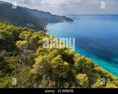 Aus der Vogelperspektive auf eine pulsierende Küste, wo smaragdgrüne Bäume auf türkisfarbenes Wasser treffen, Kalavros, Lefkada, Griechenland. Stockfoto