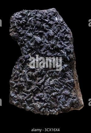 Ferberit (FeWO₄), kurze monoklinische Kristalle auf Matrix, Nederland District, Boulder County, Colorado, USA. Stockfoto