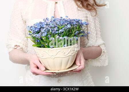 Frau, die einen Topf mit Vergissmeinnicht-Blumen hält. Frühlingsdekoration Idee. Stockfoto