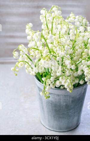 Lilly aus dem Tal blüht in Silbereimer, Kopierraum. Stockfoto