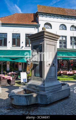 Pferdekopf Trinkbrunnen auf der Wijngaardstraat im historischen Zentrum von Brügge in Westflandern, Belgien, Europa Stockfoto
