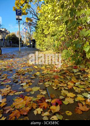Herbst. Eine Stadtstraße, übersät mit gefallenen Blättern. Mit einer Telefonkamera aufgenommen. Stockfoto
