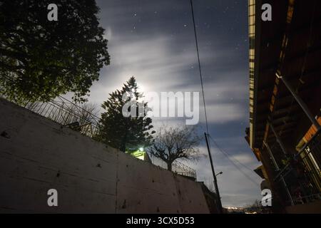 Ätherisches Mondlicht beleuchtet den Nachthimmel und erzeugt ein sanftes, traumhaftes Leuchten hinter einer Silhouette von Kiefern. Schlaue Wolken ziehen an hellen Sternen vorbei Stockfoto