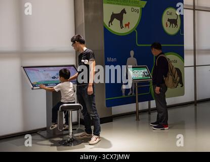 Chengdu, China – 28. September 2018: Besucher erkunden das Panda Scientific Discovery Center in der Chengdu Research Base of Giant Panda Breeding. Stockfoto
