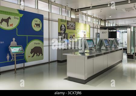 Chengdu, China - 28. September 2018: Wissenschaftliche Ausstellungen im Panda Scientific Discovery Center in der Chengdu Research Base of Giant Panda Breeding. Stockfoto