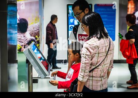 Chengdu, China - 28. September 2018: Familienlernen im Panda Scientific Discovery Center der Chengdu Research Base of Giant Panda Breeding. Stockfoto