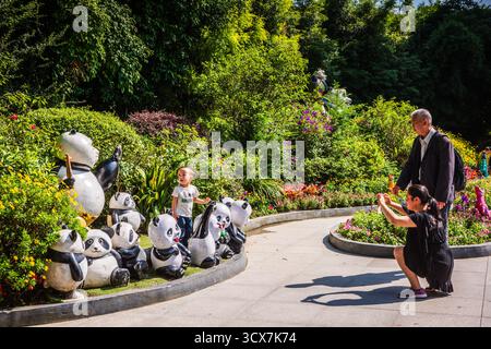 Chengdu, China - 28. September 2018: Familienfoto mit Pandabatuen auf der Chengdu Forschungsbasis für die Zucht von Riesenpandas. Stockfoto