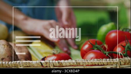Schneidet Hände in blaues Kurzarm-Hemd, schneidet Kürbis auf Gartentisch, mit Korb und Tomaten Stockfoto