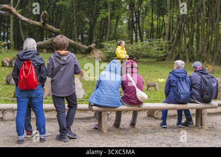 Gruppe von Personen, die in einem Waldgebiet sitzen und stehen, umgeben von Bäumen und in lässiger Kleidung, Affenberg Salem, Bodenseekreis, Deutschland Stockfoto