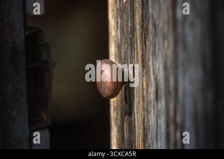 Eine Nahaufnahme einer alten, verwitterten Holztür hebt einen Türgriff aus Messing hervor. Das Holz weist Alterserscheinungen auf, weist eine raue Textur und eine sichtbare Körnung auf. Stockfoto