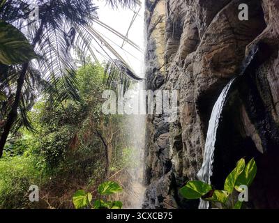 Tropische Umgebung mit Bäumen, Pflanzen und Wasserfall im Zoo Stockfoto