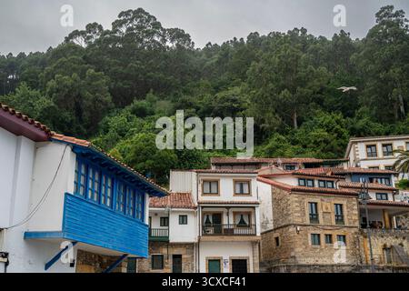 Ein kleines Dorf Tazones Asturias mit Häusern und einem blauen Gebäude. Die Häuser sind aus Stein und haben rote Dächer. Stockfoto