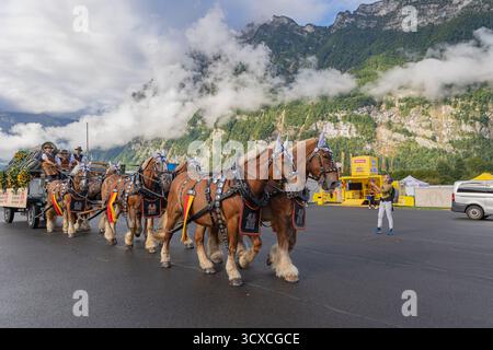 Mollis, Schweiz - 29. August. 2025: Bierpferdewagen mit Pferdemännern und Pferden in traditioneller Dekoration durch die Plaas der Schweizer Stockfoto