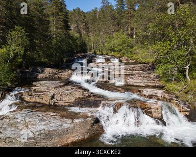 Eine Drohnenansicht auf einen wunderschönen kaskadierenden Wasserfall, der über felsige Felsvorsprünge in einem üppig grünen norwegischen Wald fließt. Stockfoto