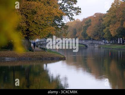 München, Deutschland. Oktober 2025. Am Nymphenburger Kanal stehen herbstliche Bäume. Quelle: Sven Hoppe/dpa/Alamy Live News Stockfoto