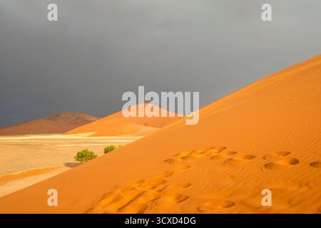 Sossusvlei in Namibia ist ein Wüstenwunder, berühmt für seine riesigen roten Dünen, die bei Sonnenauf- und -Untergang leuchten, und sein atemberaubend schönes Tal der toten Bäume Stockfoto