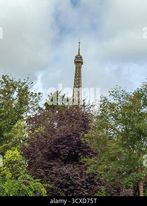 Ein einzigartiger Blick auf den Eiffelturm in Paris, Frankreich, der sich dramatisch über dem lebhaften Herbstlaub erhebt. Stockfoto